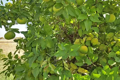 8890 Daguerra Point Drive, Marysville, CA 95901 - Photo 65