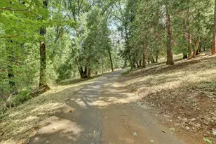 13859 Peardale Ln, Grass Valley, CA 95945 - Photo 61