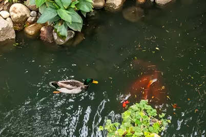 2424 Larkspur Lane #216, Sacramento, CA 95825 - Photo 41