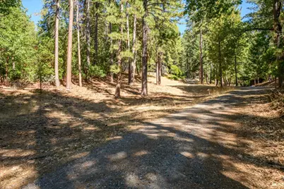 3553 Lupine Lane, Placerville, CA 95667 - Photo 29