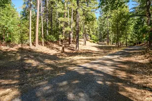 3553 Lupine Ln, Placerville, CA 95667 - Photo 29