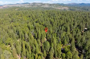 3553 Lupine Ln, Placerville, CA 95667 - Photo 35