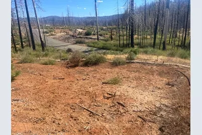 5241 Golden Aspen Drive, Grizzly Flats, CA 95636 - Photo 5