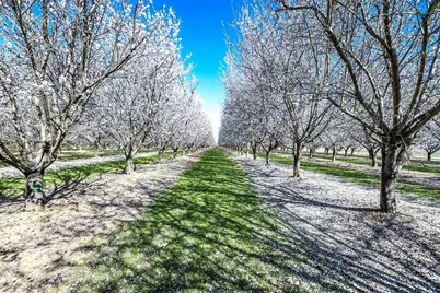 16750 County Road 96 B, Woodland, CA 95695 - Photo 69