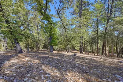 2143 Angel Camp Court, Cool, CA 95614 - Photo 57