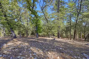 2143 Angel Camp Ct, Cool, CA 95614 - Photo 57