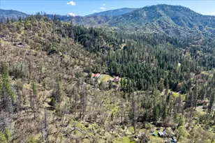 2995 Goose Ranch, Lewiston, CA 96052 - Photo 55