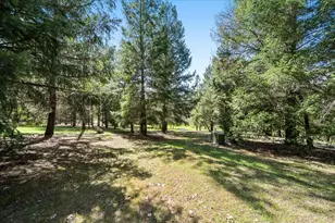 2995 Goose Ranch, Lewiston, CA 96052 - Photo 75