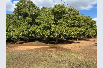 0 Gallagher Road, Rio Oso, CA 95674 - Photo 7