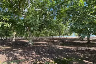 0 Gallagher Rd, Rio Oso, CA 95674 - Photo 1