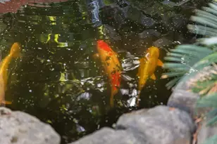 2554 Burnaby Way, Sacramento, CA 95833 - Photo 51