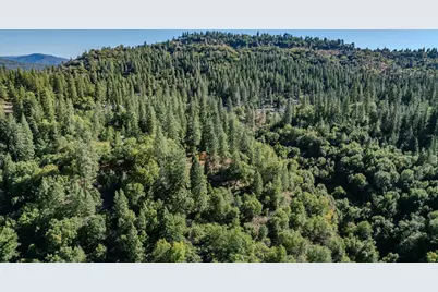 4581 Highway 4, Murphys, CA 95247 - Photo 57