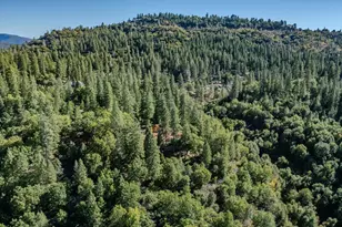 4581 Hwy 4, Murphys, CA 95247 - Photo 57