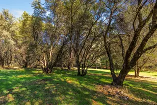 6267 Bluestone Ln, Placerville, CA 95667 - Photo 43