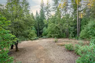 12401 Old Mine Rd, Grass Valley, CA 95945 - Photo 13