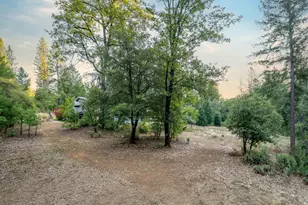 12401 Old Mine Rd, Grass Valley, CA 95945 - Photo 83