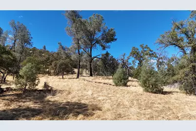9816 Deer Hollow Trail, Browns Valley, CA 95918 - Photo 1