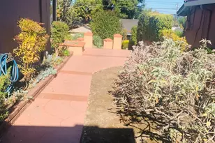 1163 Roxanne Ave, Hayward, CA 94542 - Photo 5