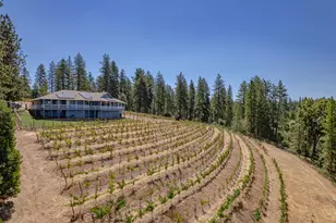 18591 Ponderosa Hills Rd, Volcano, CA 95689 - Photo 5