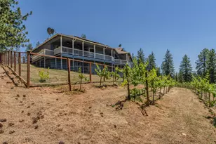 18591 Ponderosa Hills Rd, Volcano, CA 95689 - Photo 25