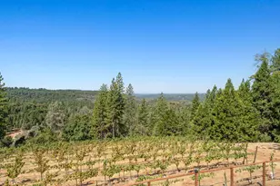 18591 Ponderosa Hills Rd, Volcano, CA 95689 - Photo 45