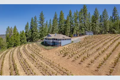 18591 Ponderosa Hills Road, Volcano, CA 95689 - Photo 7