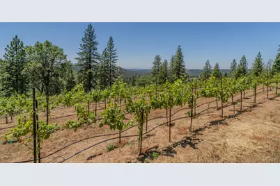 18591 Ponderosa Hills Road, Volcano, CA 95689 - Photo 19