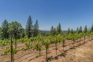 18591 Ponderosa Hills Rd, Volcano, CA 95689 - Photo 19