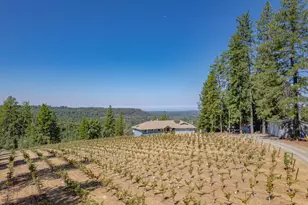 18591 Ponderosa Hills Rd, Volcano, CA 95689 - Photo 3