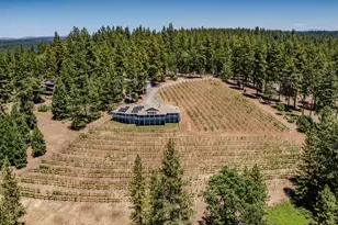 18591 Ponderosa Hills Rd, Volcano, CA 95689 - Photo 35