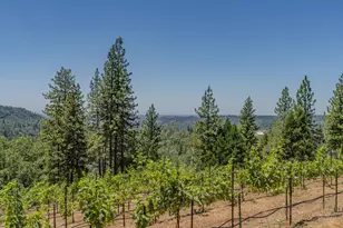 18591 Ponderosa Hills Rd, Volcano, CA 95689 - Photo 65