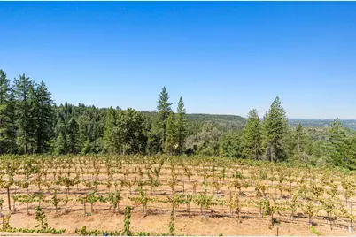 18591 Ponderosa Hills Road, Volcano, CA 95689 - Photo 51