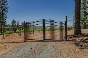 18591 Ponderosa Hills Rd, Volcano, CA 95689 - Photo 3