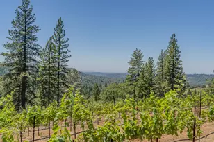 18591 Ponderosa Hills Rd, Volcano, CA 95689 - Photo 59