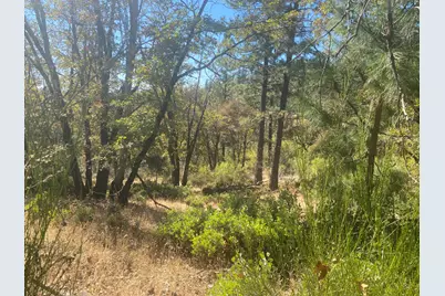 0 Nature's Way, Colfax, CA 95736 - Photo 3