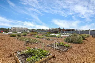 580 W Bowman Rd, French Camp, CA 95231 - Photo 35