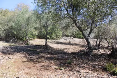 14894 La Place Lane, Dobbins, CA 95935 - Photo 17