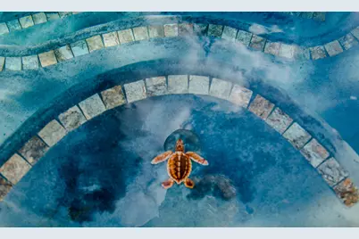 151 W Delano Street, Elverta, CA 95626 - Photo 15