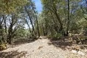 22249 El Coyote Dr, Sonora, CA 95370 - Photo 1