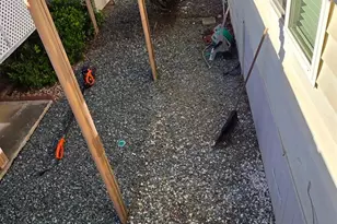 Cantabrook St, Sacramento, CA 95828 - Photo 43