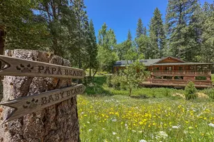 17452 Lake Vera Purdon Rd, Nevada City, CA 95959 - Photo 1