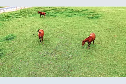 770 Merriam Road, Hickman, CA 95323 - Photo 89