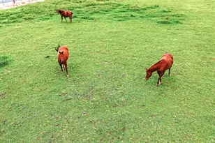 770 Merriam Rd, Hickman, CA 95323 - Photo 89