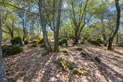 3881 Welker Lane, Shingle Springs, CA 95682 - Photo 53