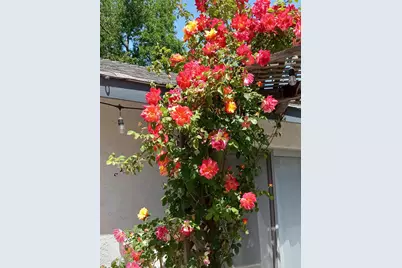 2266 River Trails Circle, Rancho Cordova, CA 95670 - Photo 47