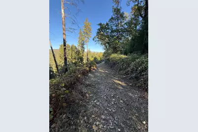 4220 Tree Lane, Wilseyville, CA 95257 - Photo 1