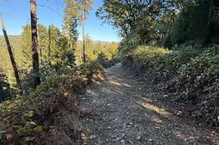 4220 Tree Ln, Wilseyville, CA 95257 - Photo 1