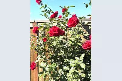 1626 Stepney Way, Plumas Lake, CA 95961 - Photo 5