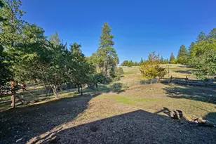 8205 Grizzly Flat Rd, Somerset, CA 95684 - Photo 49