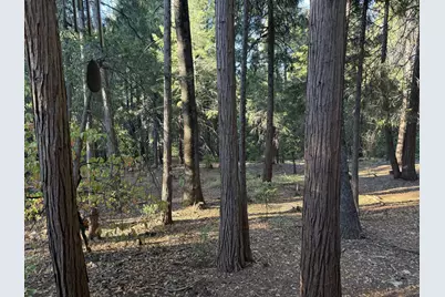 Pony Express Trail #37, Pollock Pines, CA 95726 - Photo 23